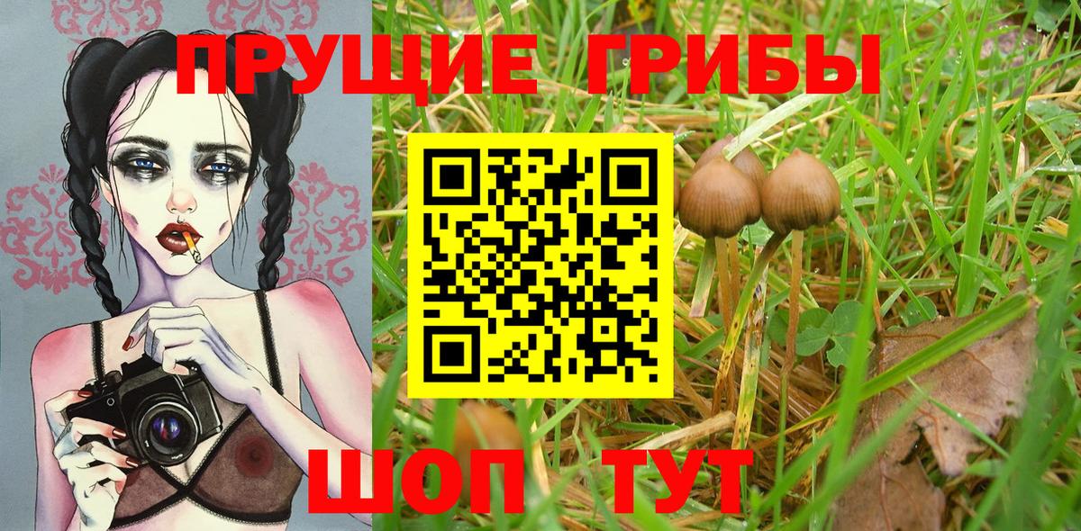 Галлюциногенные грибы MAGIC MUSHROOMS Кубинка
