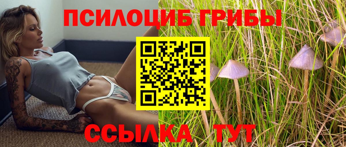 Кубинка  Галлюциногенные грибы мухоморы  магазин продажи наркотиков  Вход с VPN 