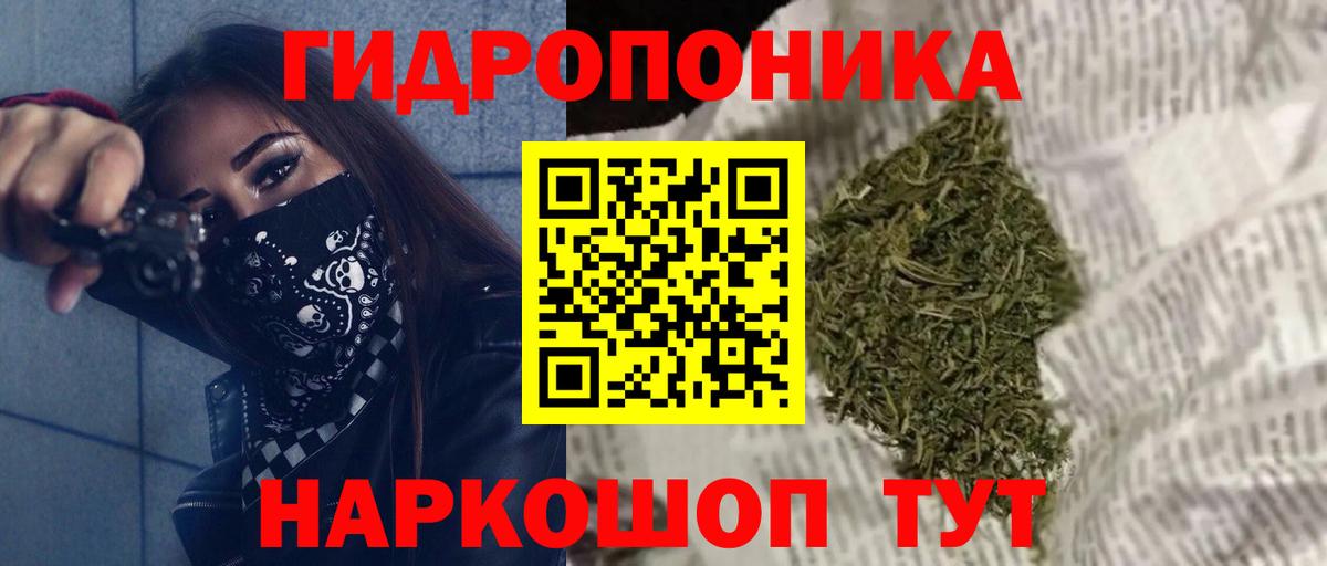 Шишки марихуана семена Кубинка
